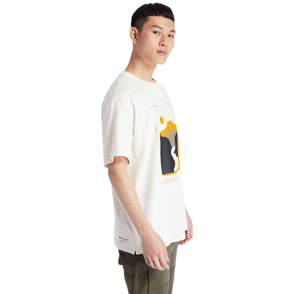 Camisetas Masculino - Timberland Ecoriginal Ek+ Short-Sleeve - LCYJZ2695 - Branco